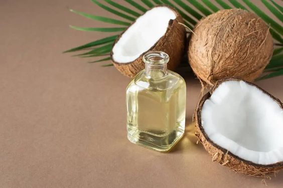 WhatsApp Image 2025-11-11 at 13.40
