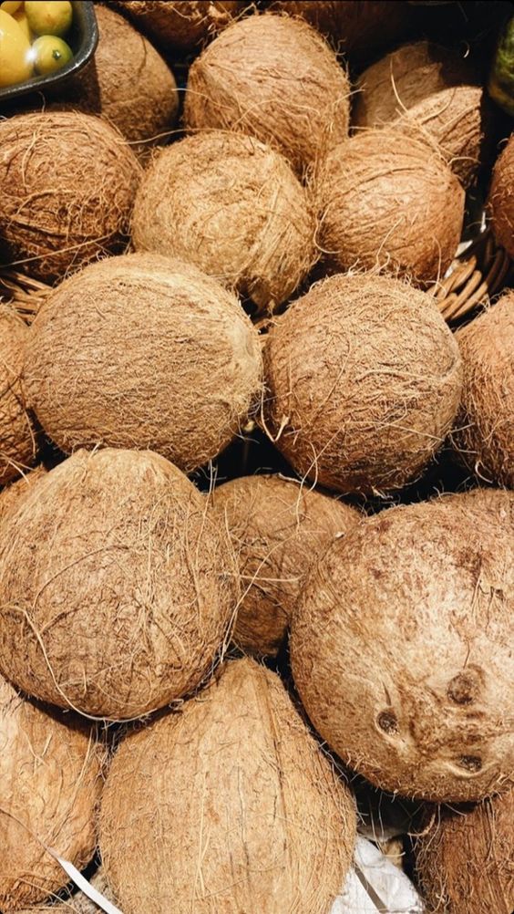 Premium Semi Husked Coconut Export Indonesia